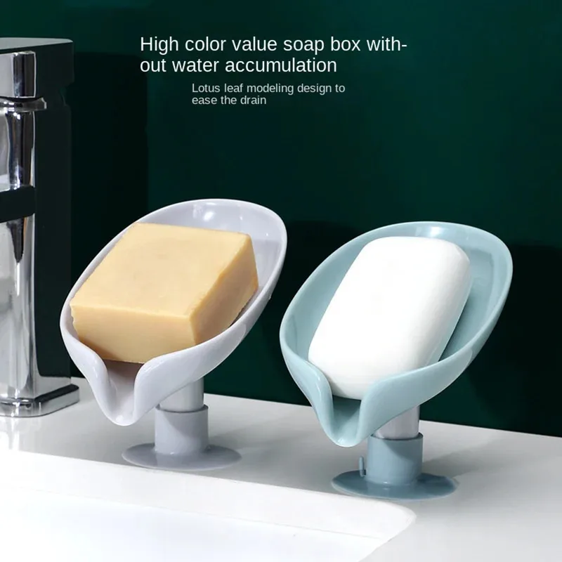 Drain Soap Holder Leaf Shape S - مراجعة Kitchen Appliances Shelves وسعره