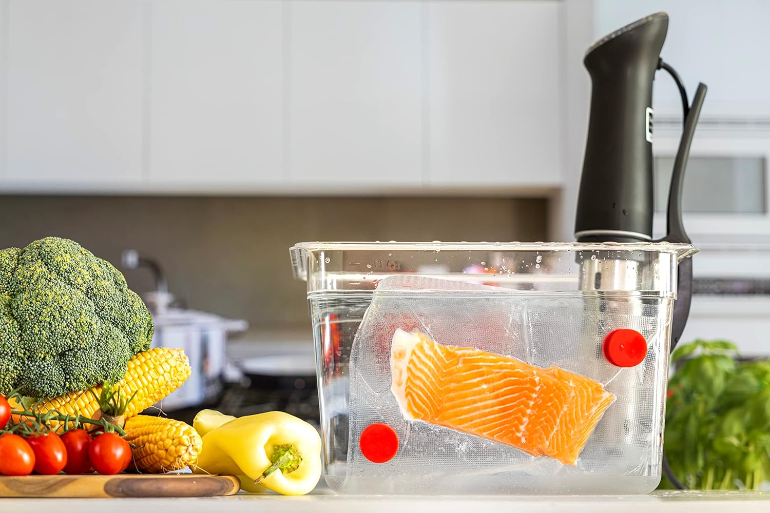 Sous Vide Magnets Set of 8 - F - مراجعة Sous Vide Immersion وسعره
