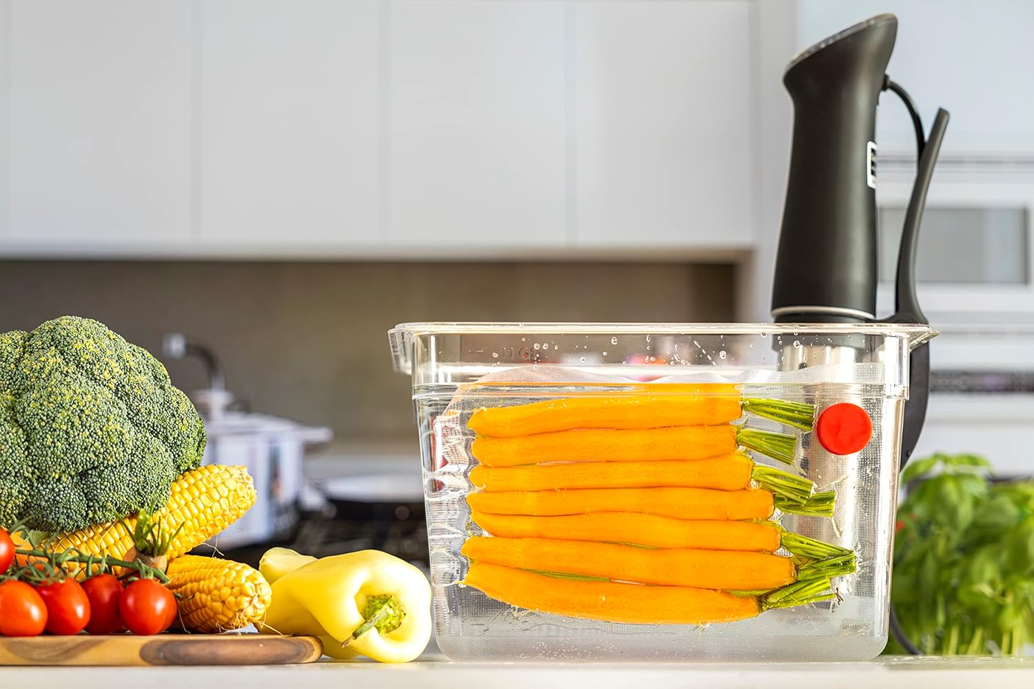 Sous Vide Magnets Set of 8 - F - مراجعة Sous Vide Immersion وسعره