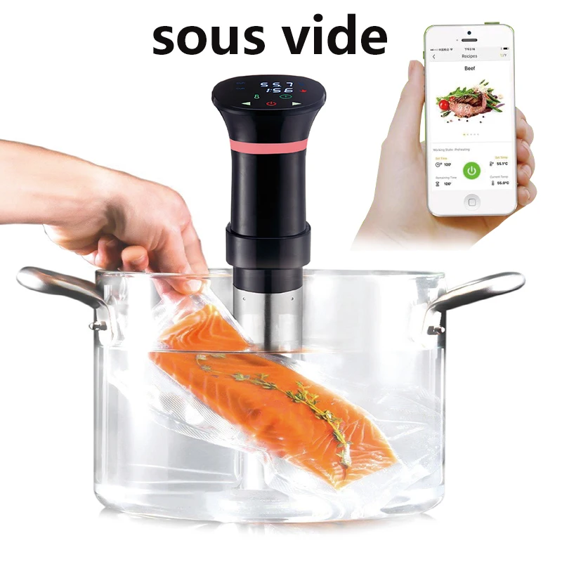 220V Sous Vide Precision Cooke - مراجعة Sous Vide Immersion وسعره