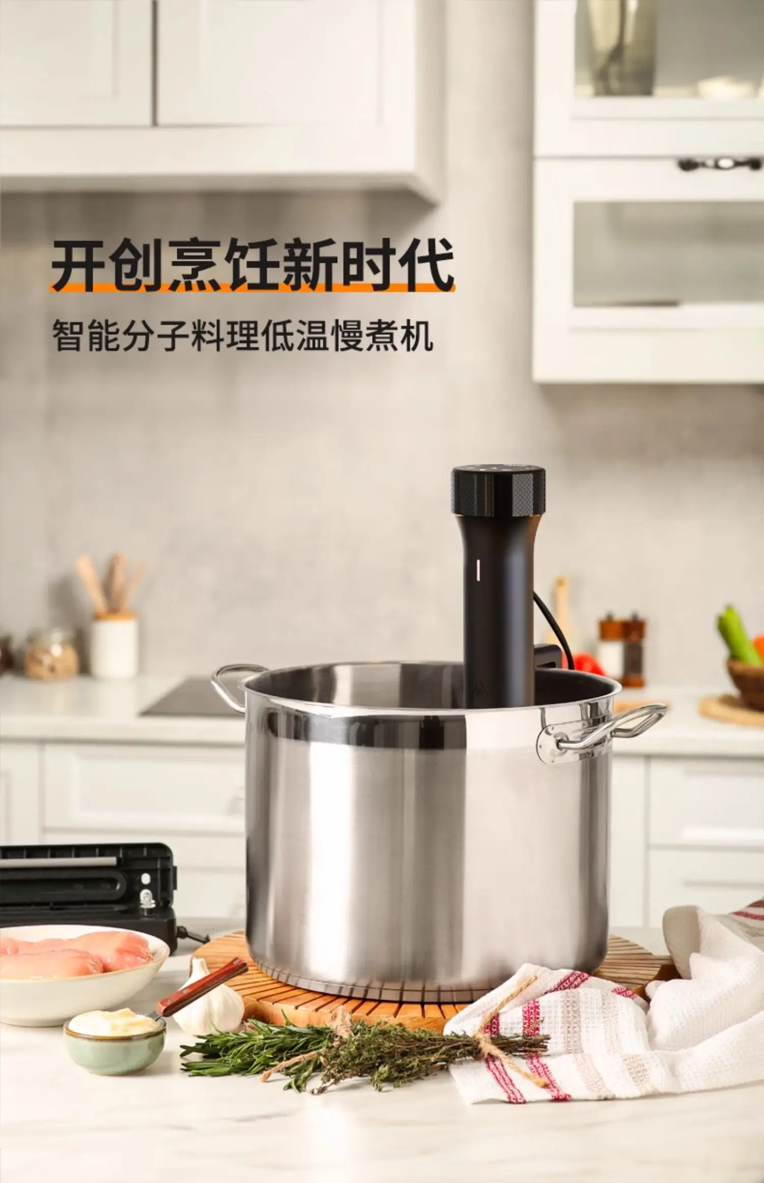 110V/220V WEVAC Sous Vide Prec - مراجعة Sous Vide Immersion وسعره